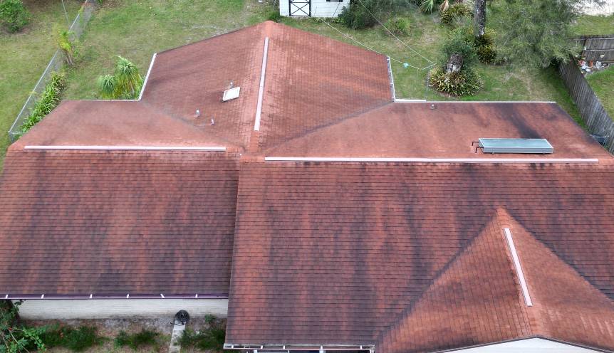 Image shows roof of Florida home with significant algae growth